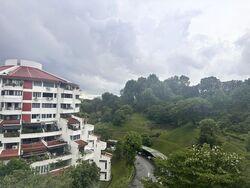 Clementi Park (D21), Condominium #508098791